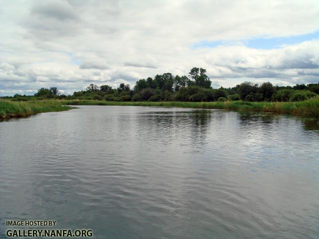 DSC00554a