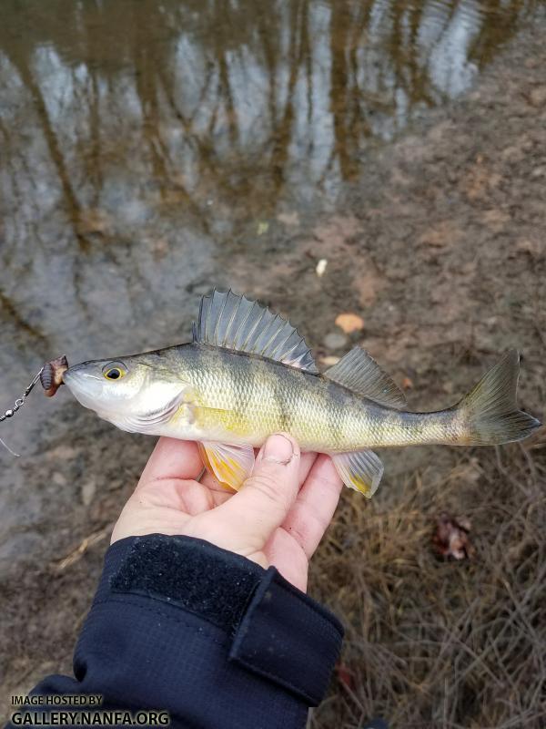 1/28/18 Congaree River, SC