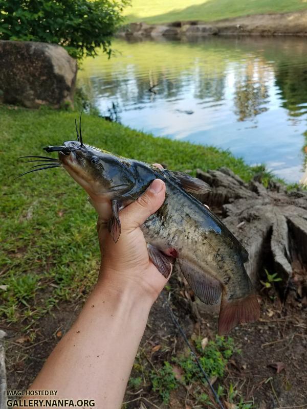 5/24/18 (Broad River Basin), SC