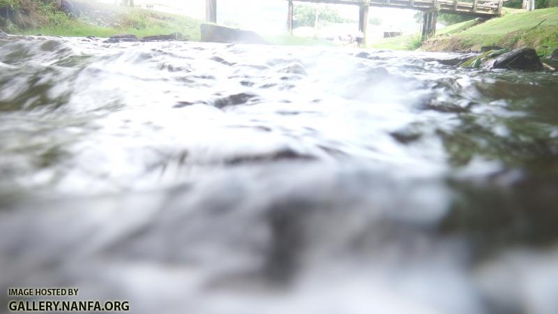DSCF8236.JPG