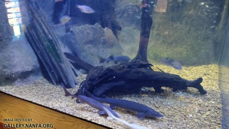 IMG_20190530_160828.jpg