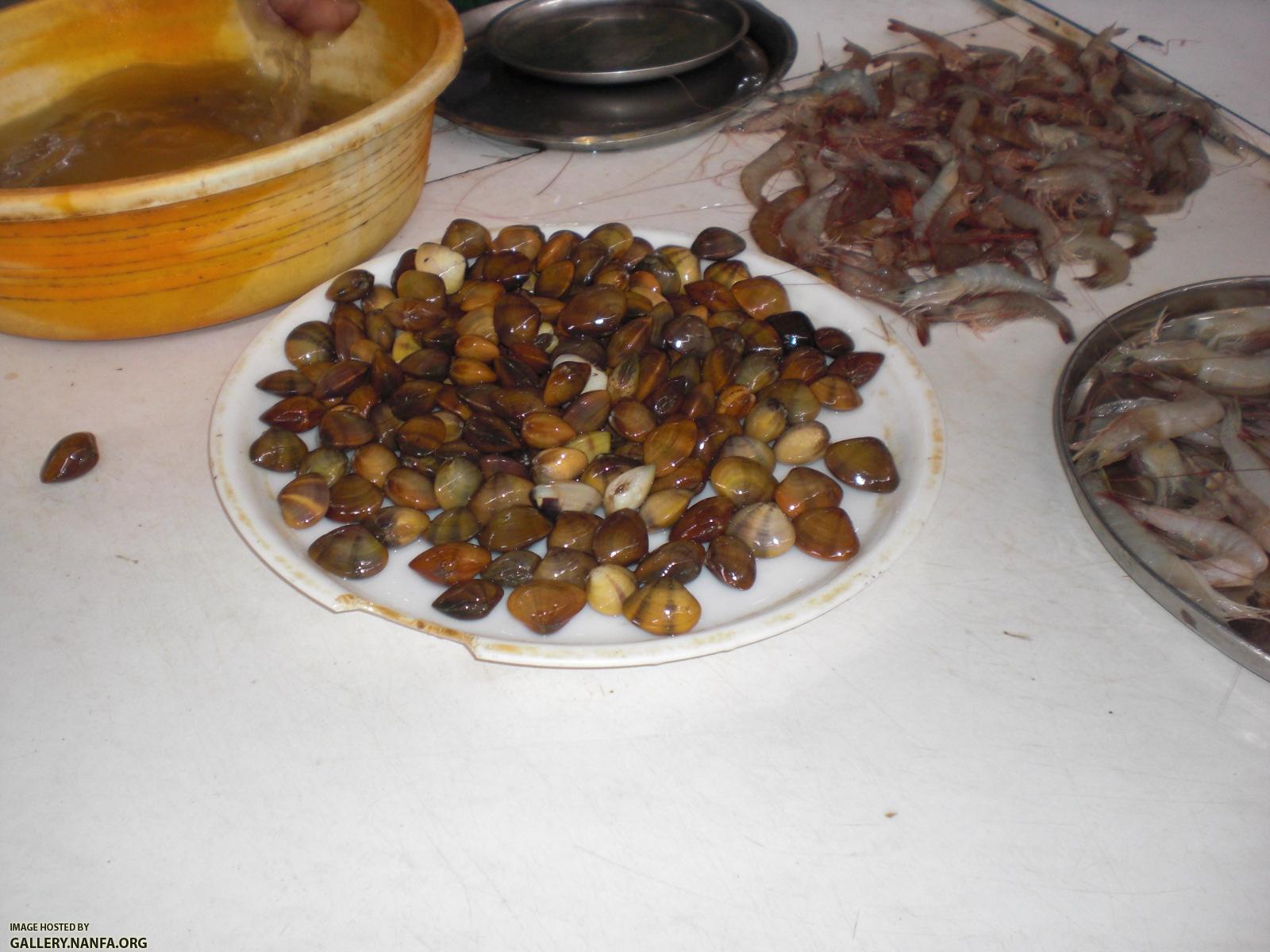CIMG0107.JPG