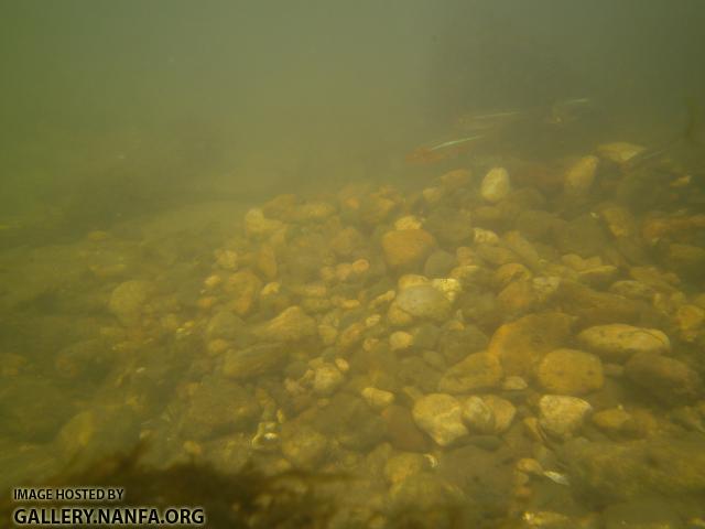 PICT0035