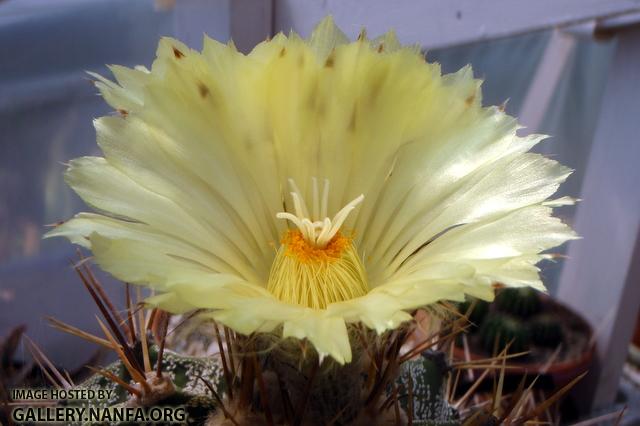 Aug08 068
