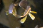 DSCN0586