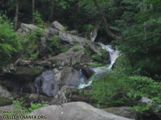 New River Gorge, WV - 26.jpg