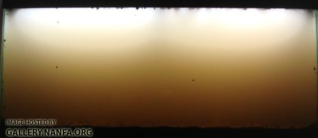 Friday night a few hours after starting activated carbon