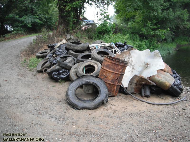 Clean the Green Trash 1.jpg