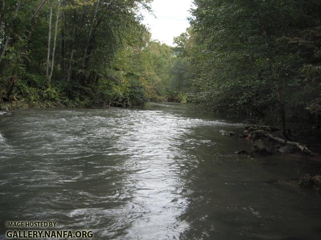 Clean the Cumberland - Poor Fork 1.JPG