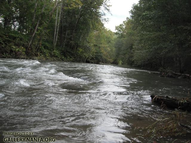 Clean the Cumberland - Poor Fork 2.JPG