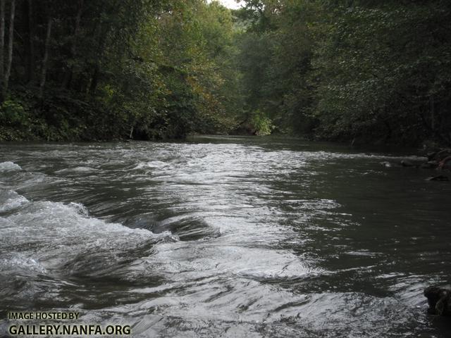 Clean the Cumberland - Poor Fork 3.JPG