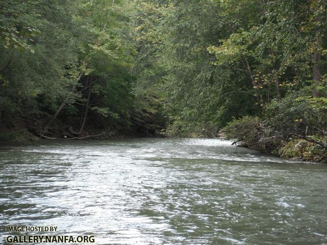 Clean the Cumberland - Poor Fork 4.JPG