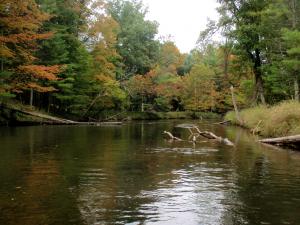 Pere Marquette River