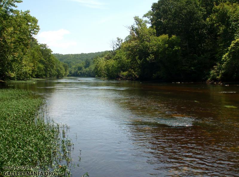 Roanoke River