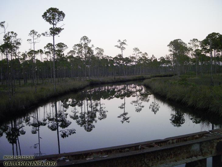 Sunset Bridge