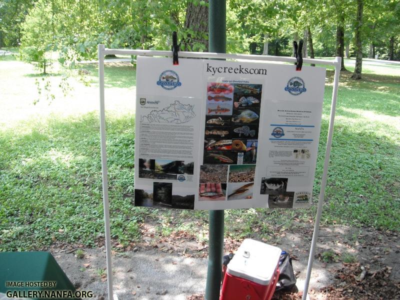 Clean the Green 2012 - Poster 5.JPG