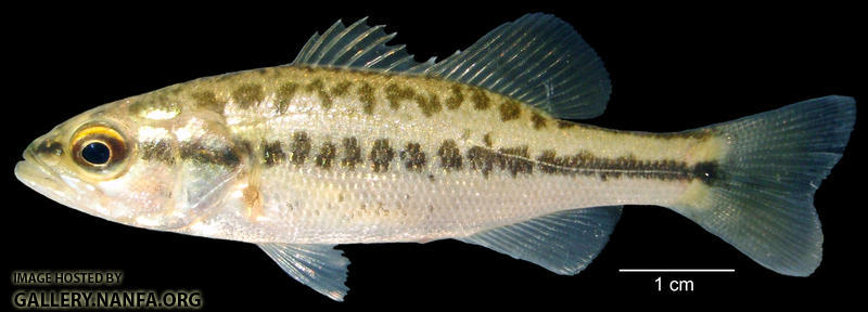 P5160047