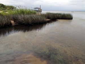 Currituck Sound