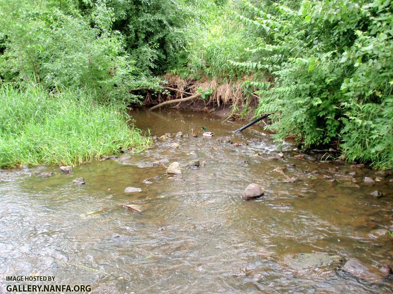 Rott Creek