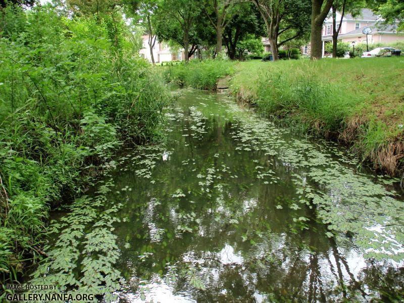 St. Joseph Creek
