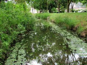 St. Joseph Creek