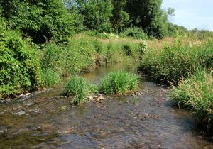 East Branch DuPage River