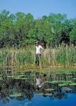 Bowfin - Amia calva habitat - Konrad Schmidt