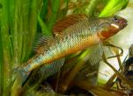 DSC00247a