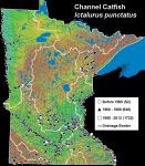 I_punctatus1b