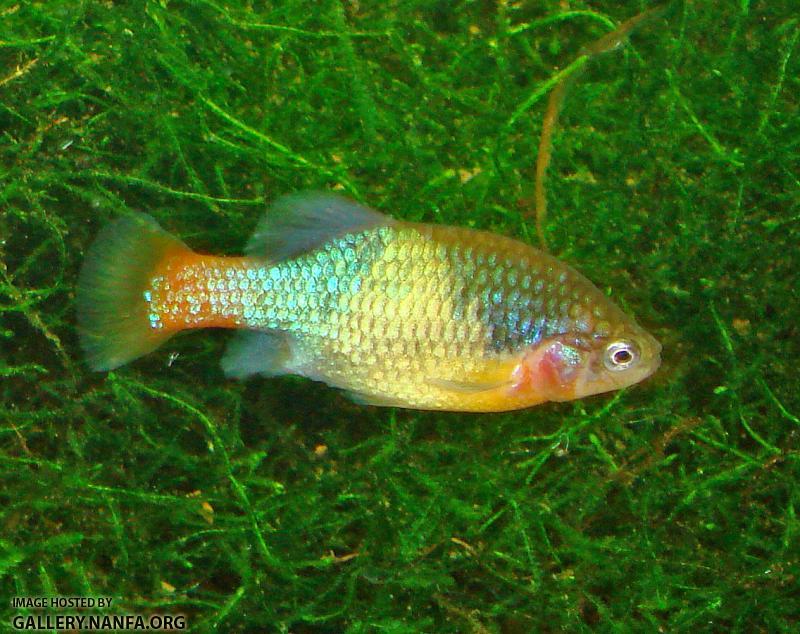 DSC02830a