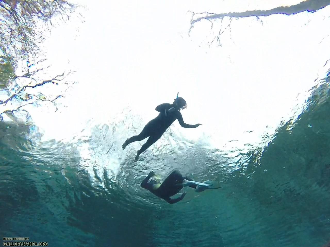View from Below