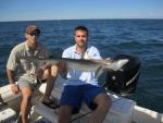 Atlantic Sharpnose Shark