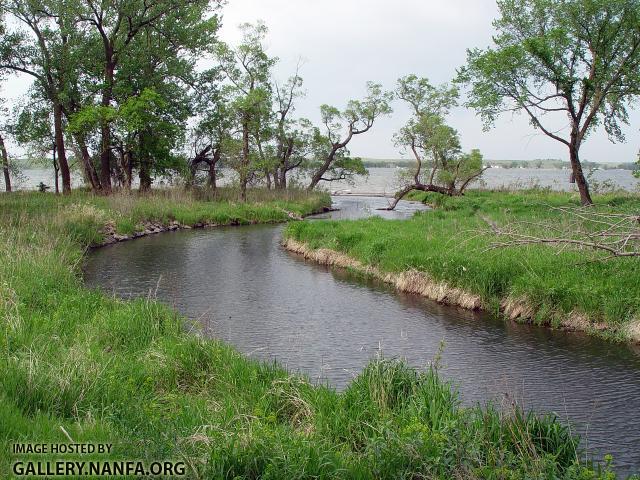 DSC04252a