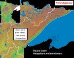Distribution and Habitat