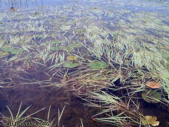 DSC00503a