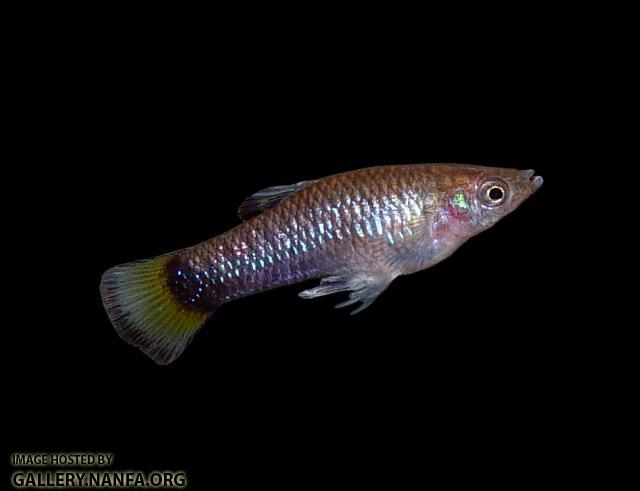 DSC01501a