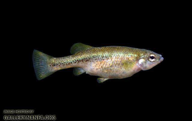 DSC01691a