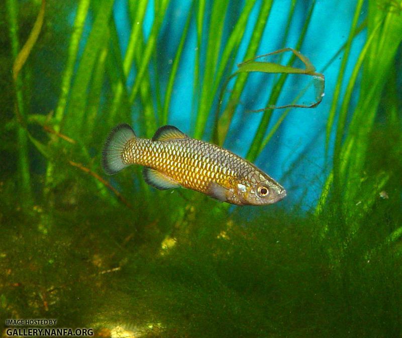 DSC01909a