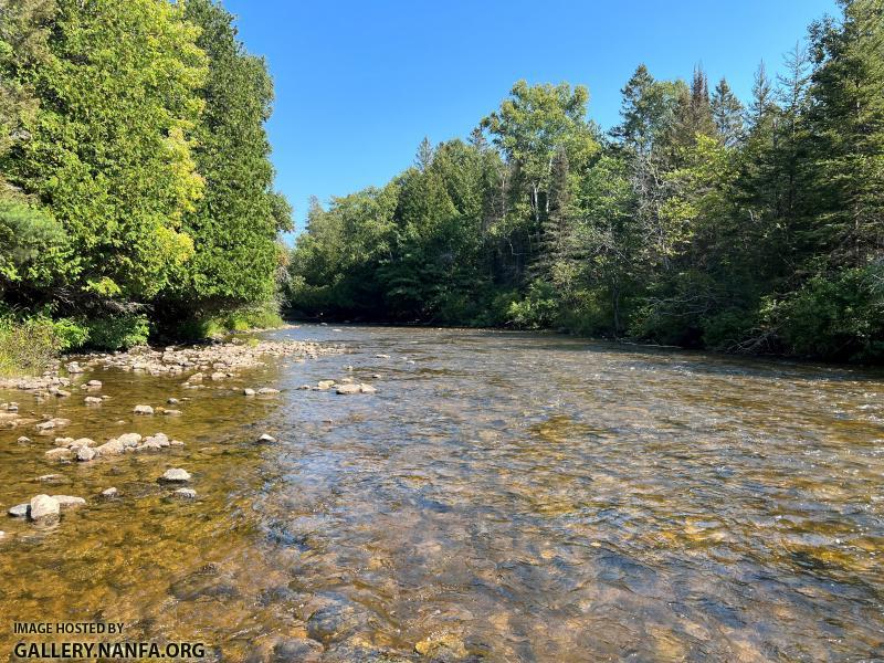 Carp River