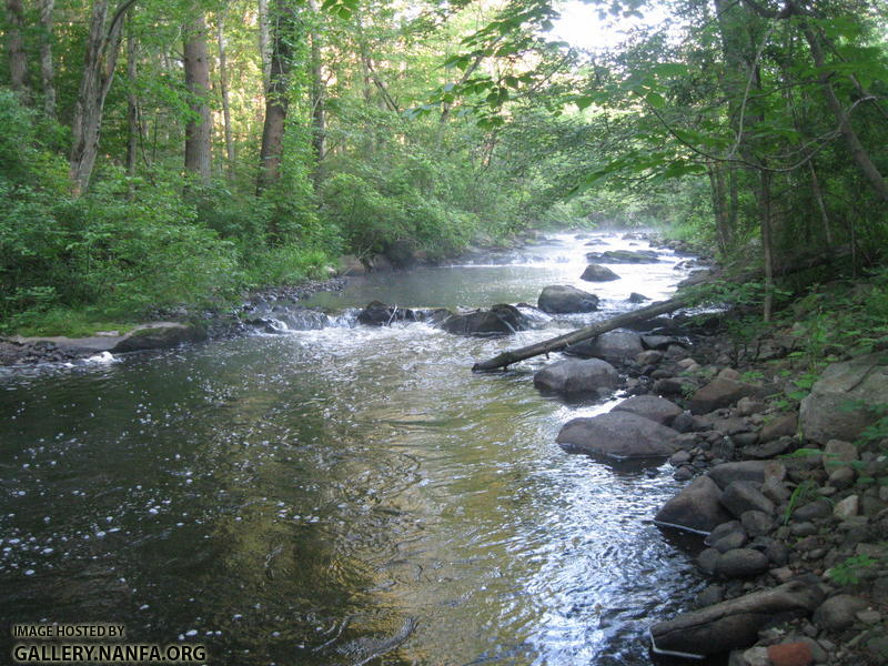 Owen_Ware_River_Southbridge 046.JPG