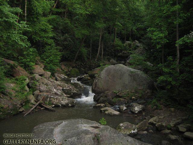 New River Gorge, WV - 19.jpg