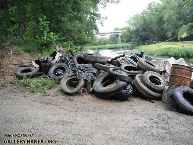 Clean the Green Trash 4.jpg