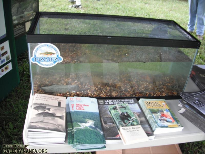 Clean the Cumberland - Tank Setup 4.JPG