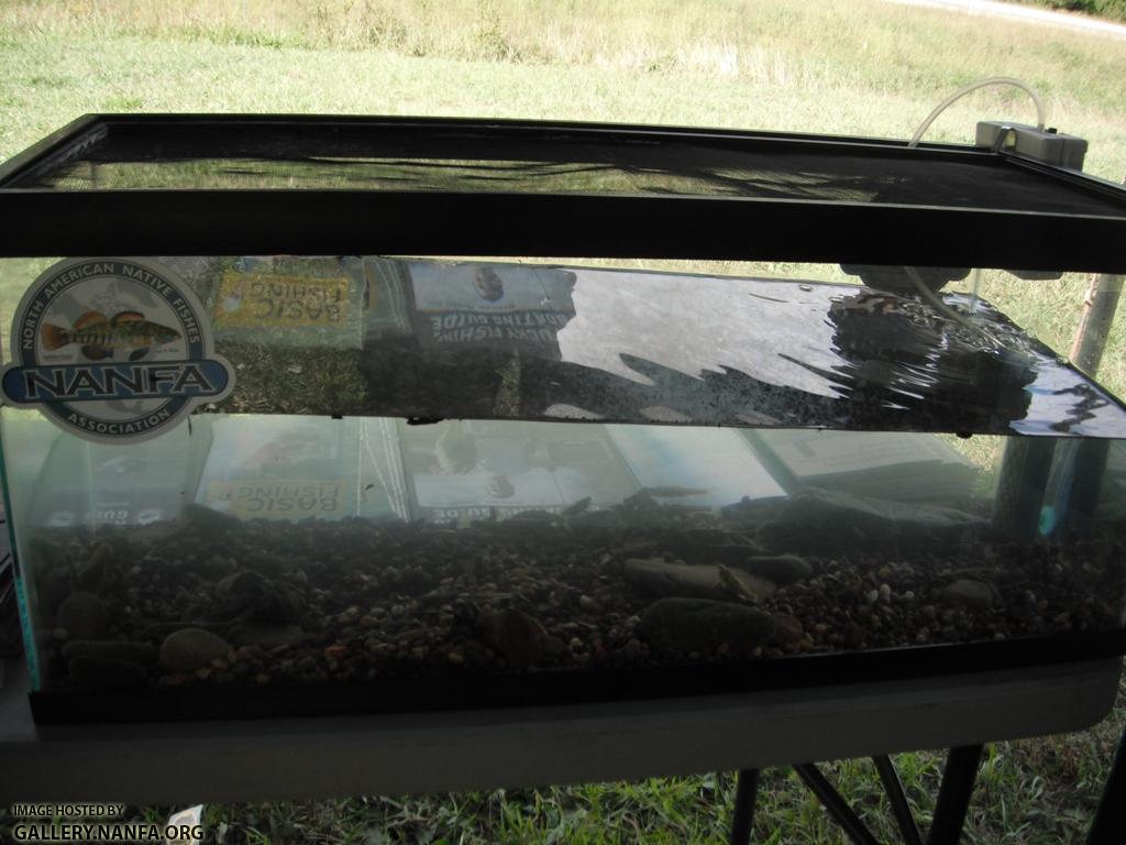 Clean the Cumberland - Tank Setup 7.JPG
