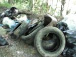 Clean the Cumberland - Trash Picked 1.JPG