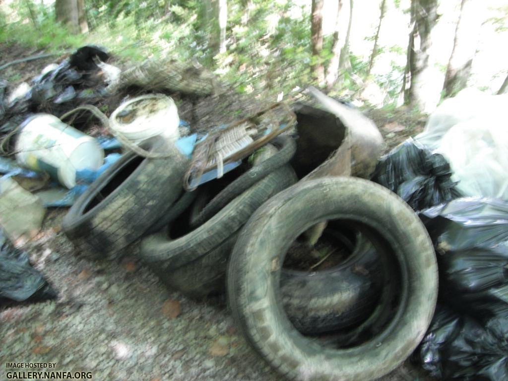 Clean the Cumberland - Trash Picked 1.JPG