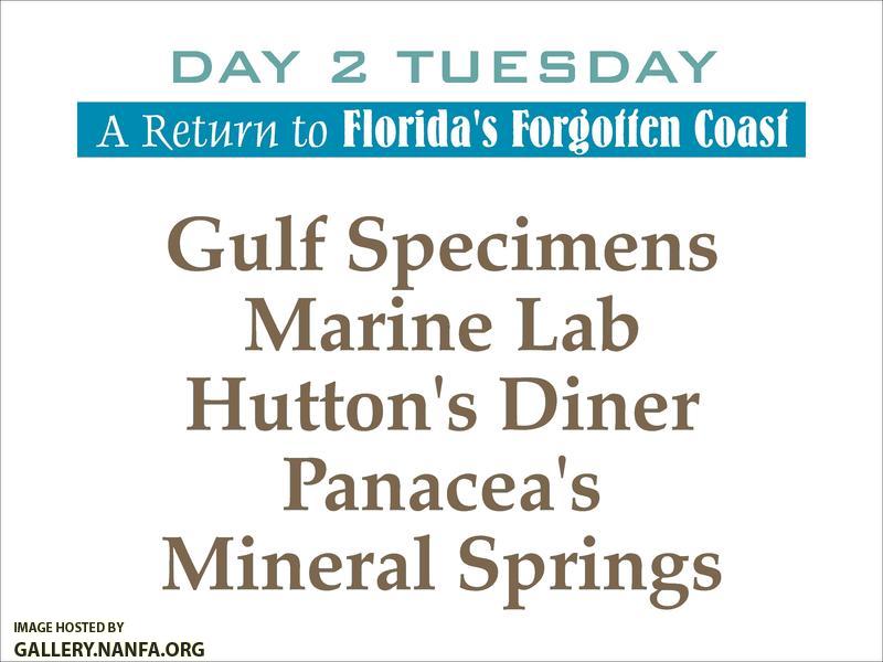 Florida's Forgotten Coast   Day 2