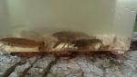2012-04-15_16-32-12_111