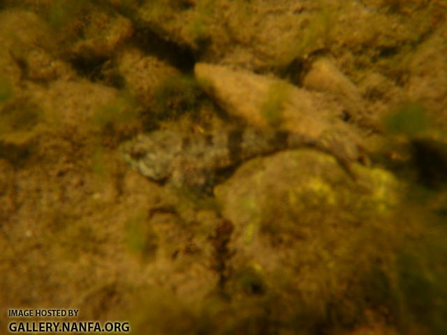 P6290431