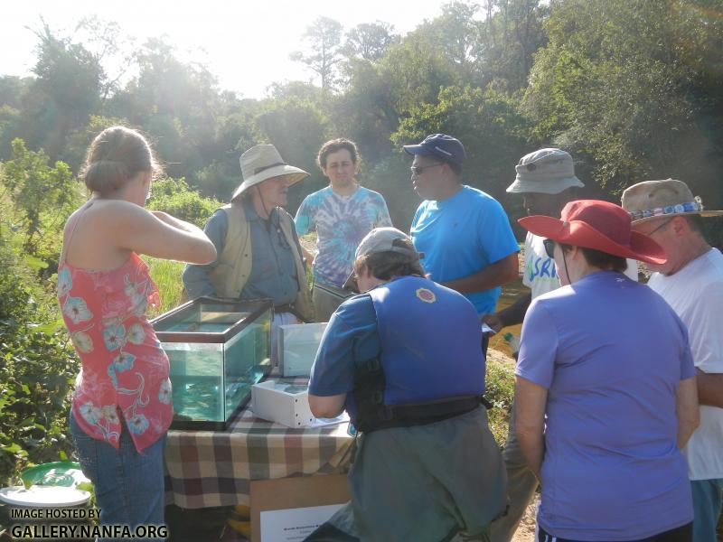 South River 201209 (2)